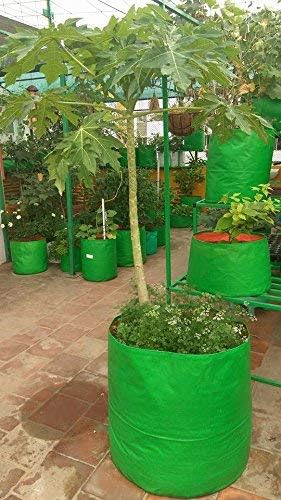 Grow Bags 15x15 inch, 230 GSM Strong - Pack of 7