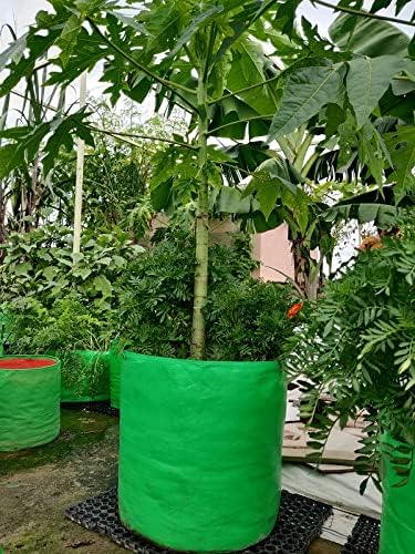 Grow Bags 15x15 inch, 230 GSM Strong - Pack of 7
