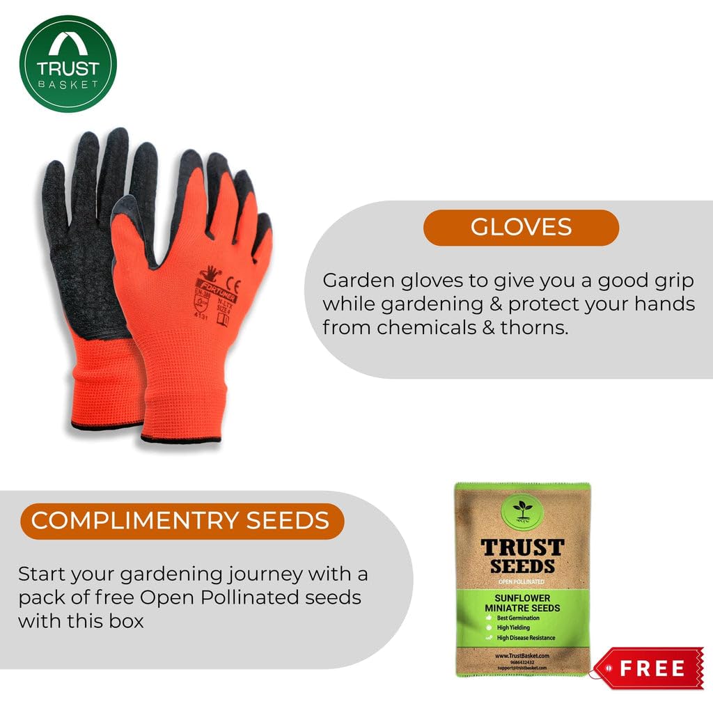 Gardening Tools Box - 9 Pcs Gardening Tool Kit