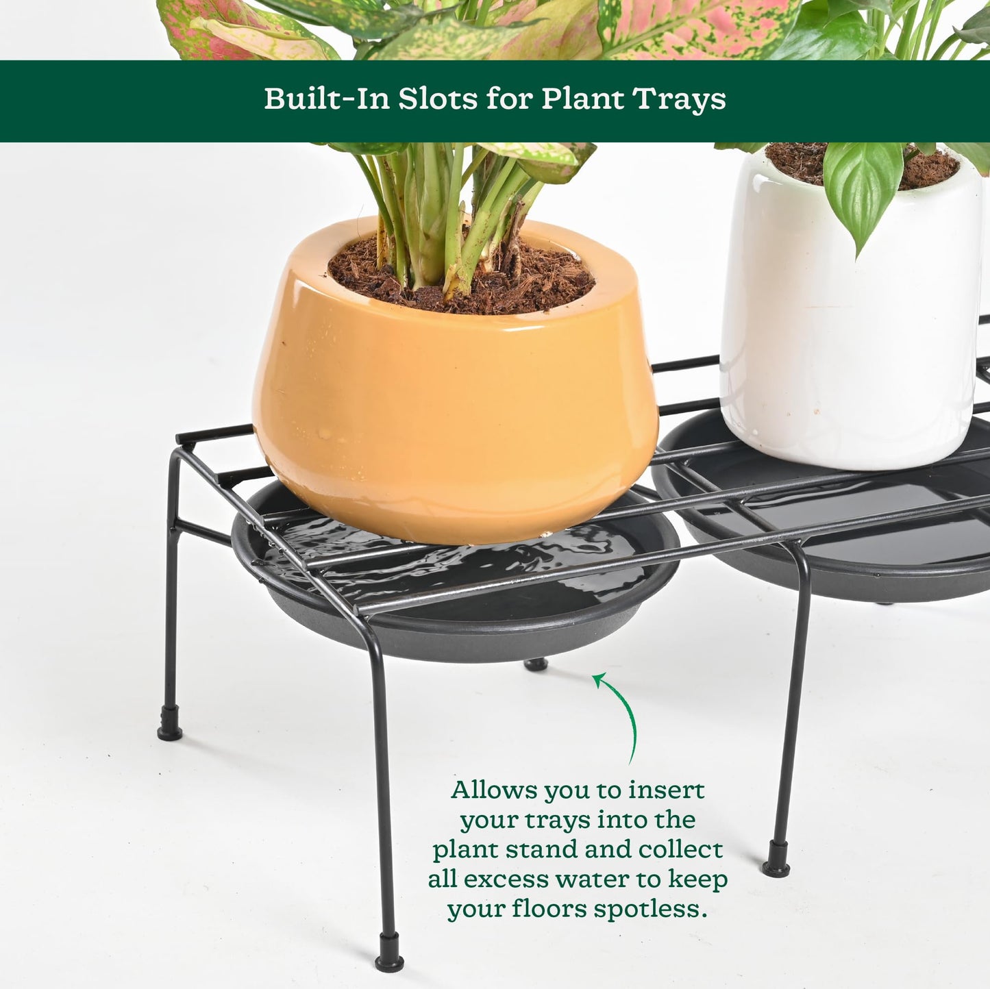 Driplock Heavy Duty Iron Plant Stand (Black, Set of 4)