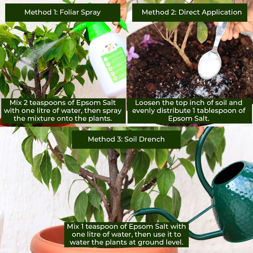 Epsom Salt for plants (1 KG)