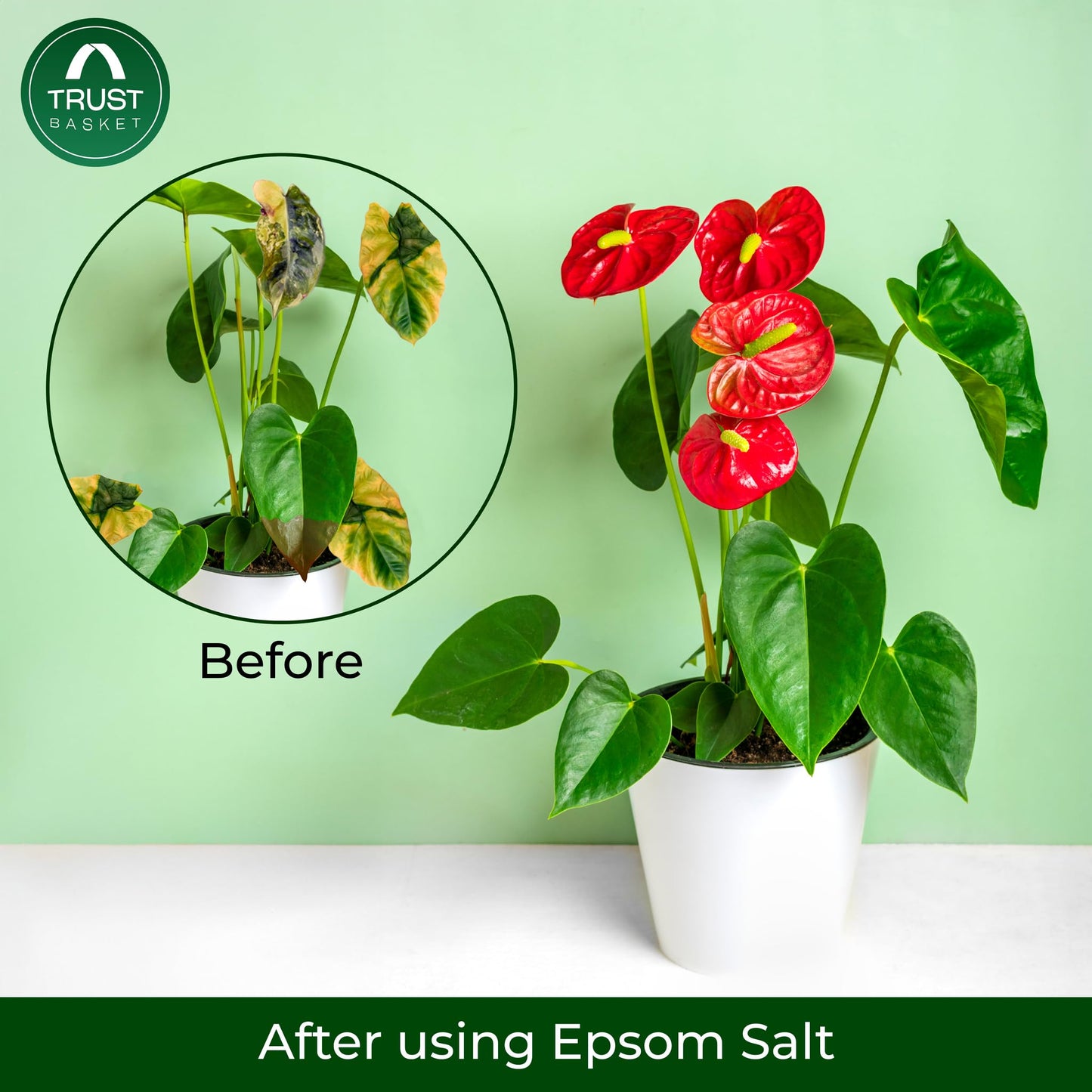 Epsom Salt for plants (1 KG)