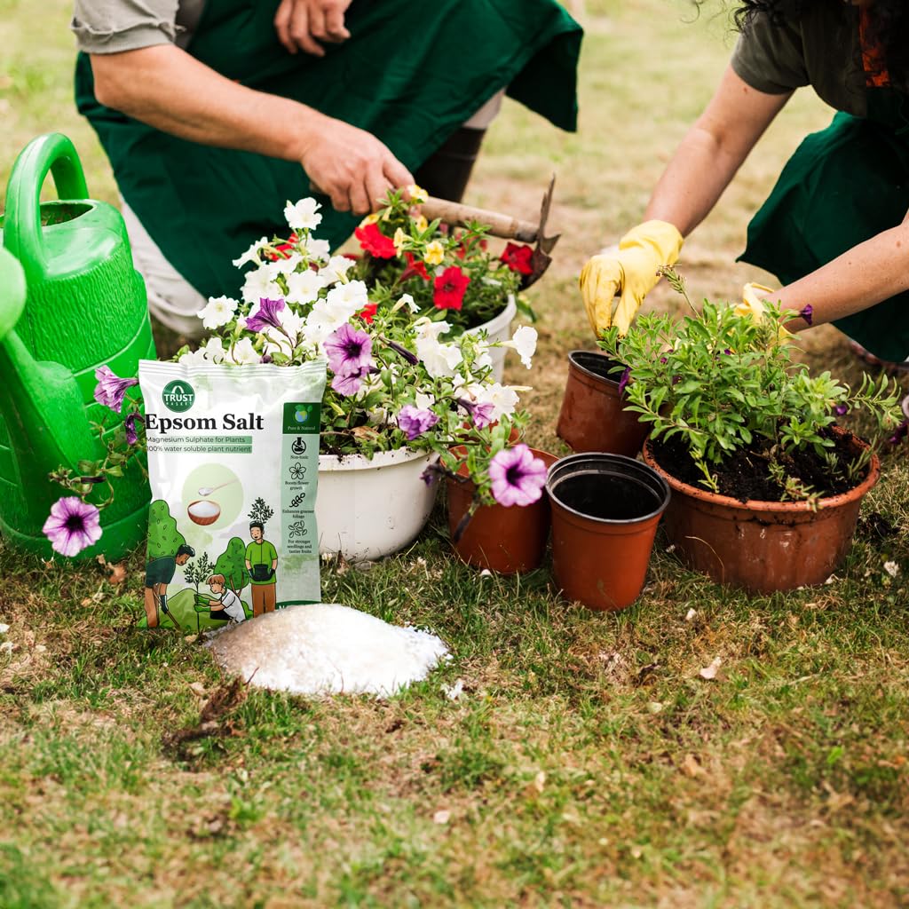 Epsom Salt for plants (1 KG)