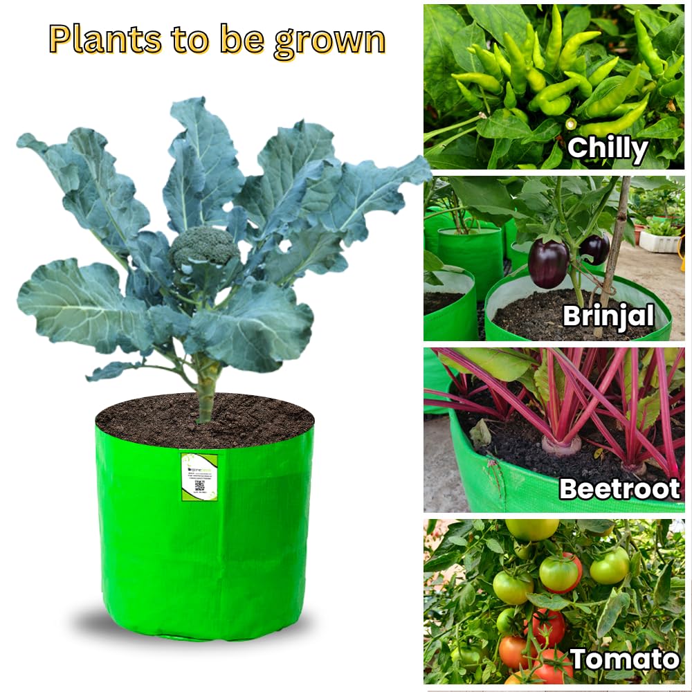 12x12 Grow Bags for Terrace Garden, HDPE 260 GSM(Pack of 10)