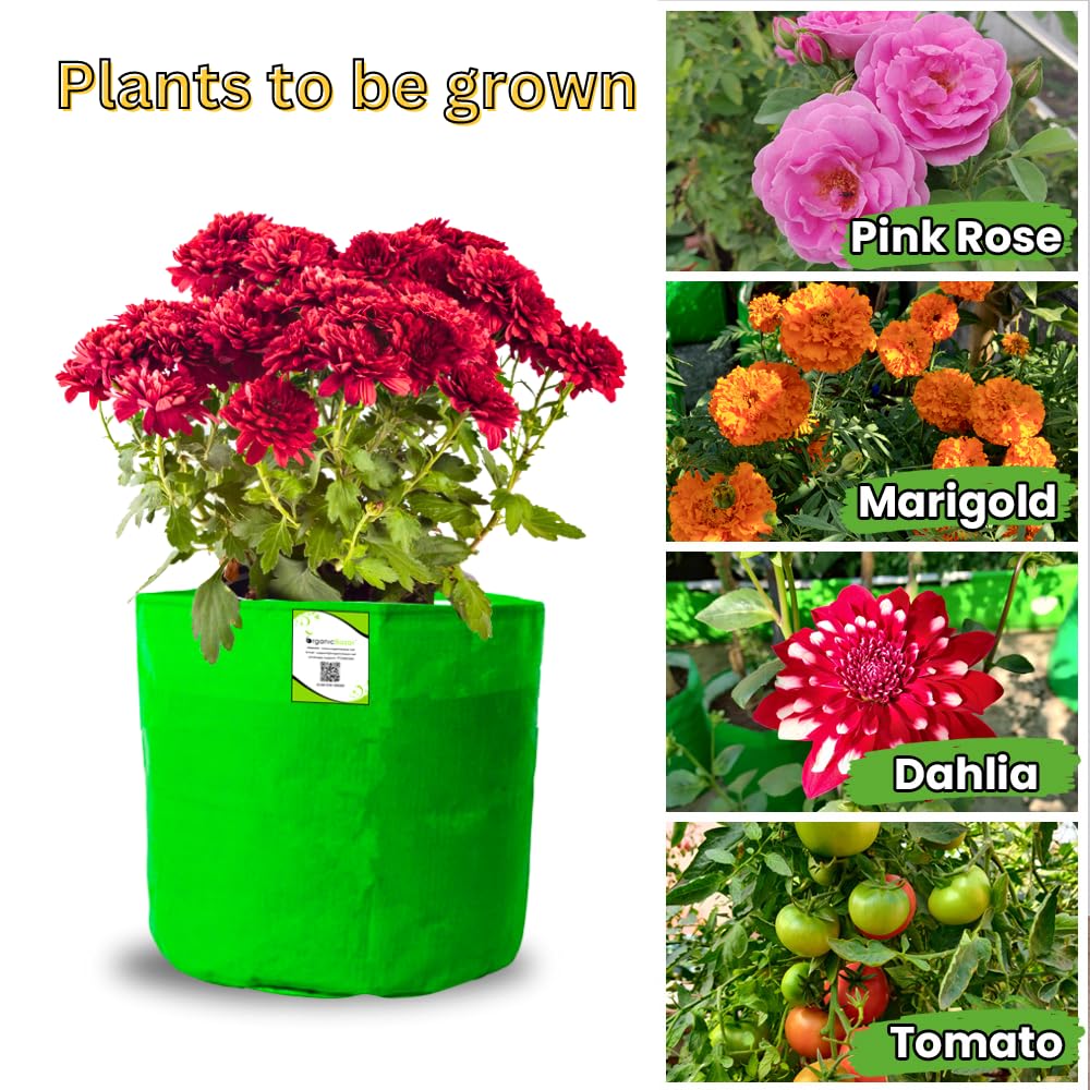 12x12 Grow Bags for Terrace Garden, HDPE 260 GSM(Pack of 10)
