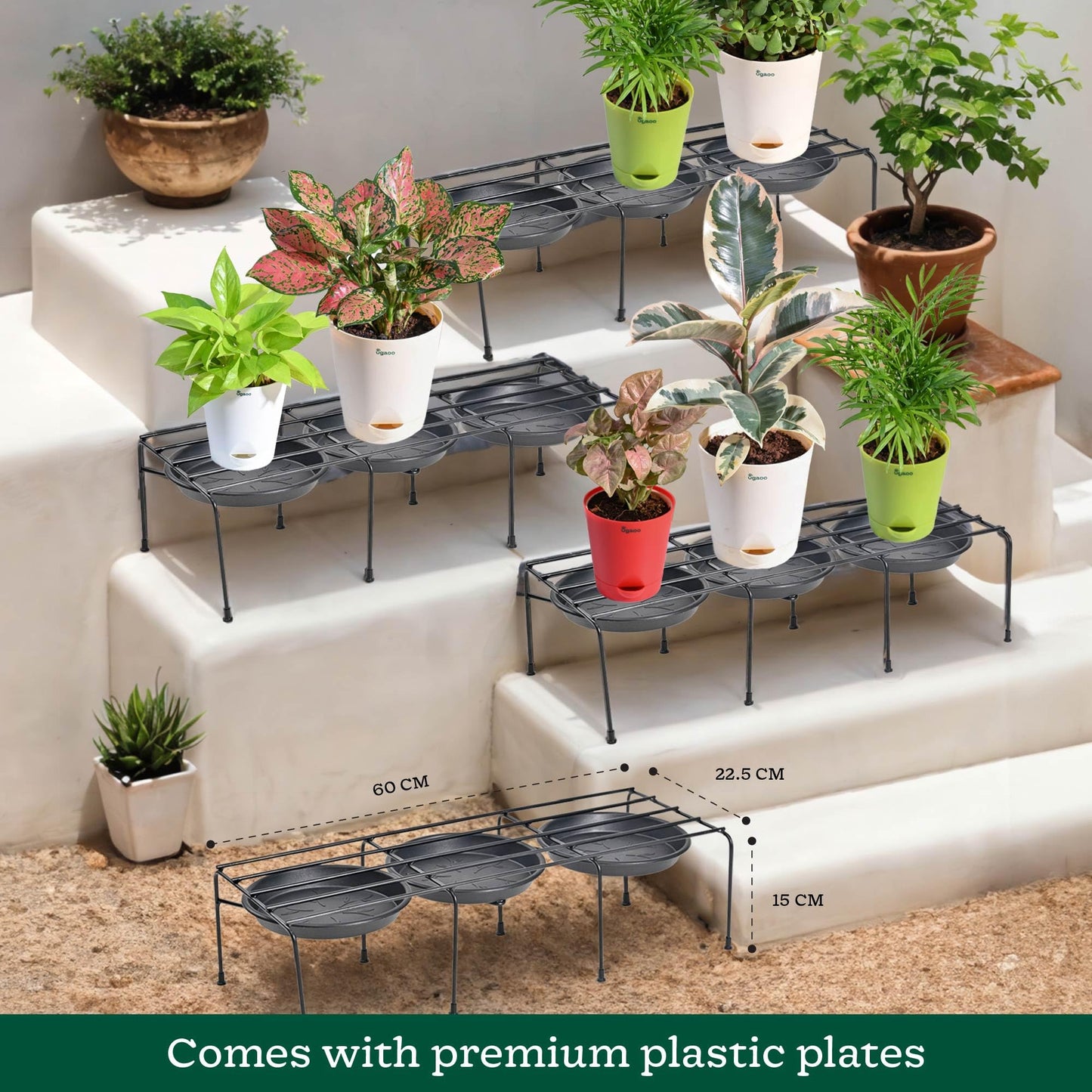 Driplock Heavy Duty Iron Plant Stand (Black, Set of 4)