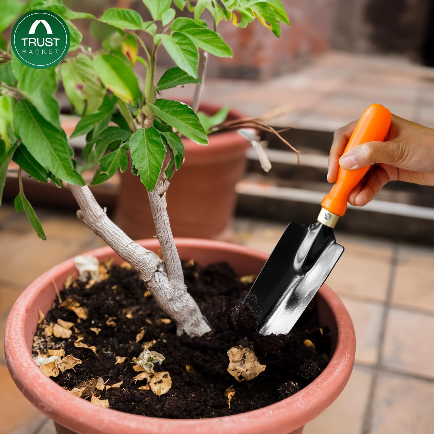 Gardening Tools Box - 9 Pcs Gardening Tool Kit