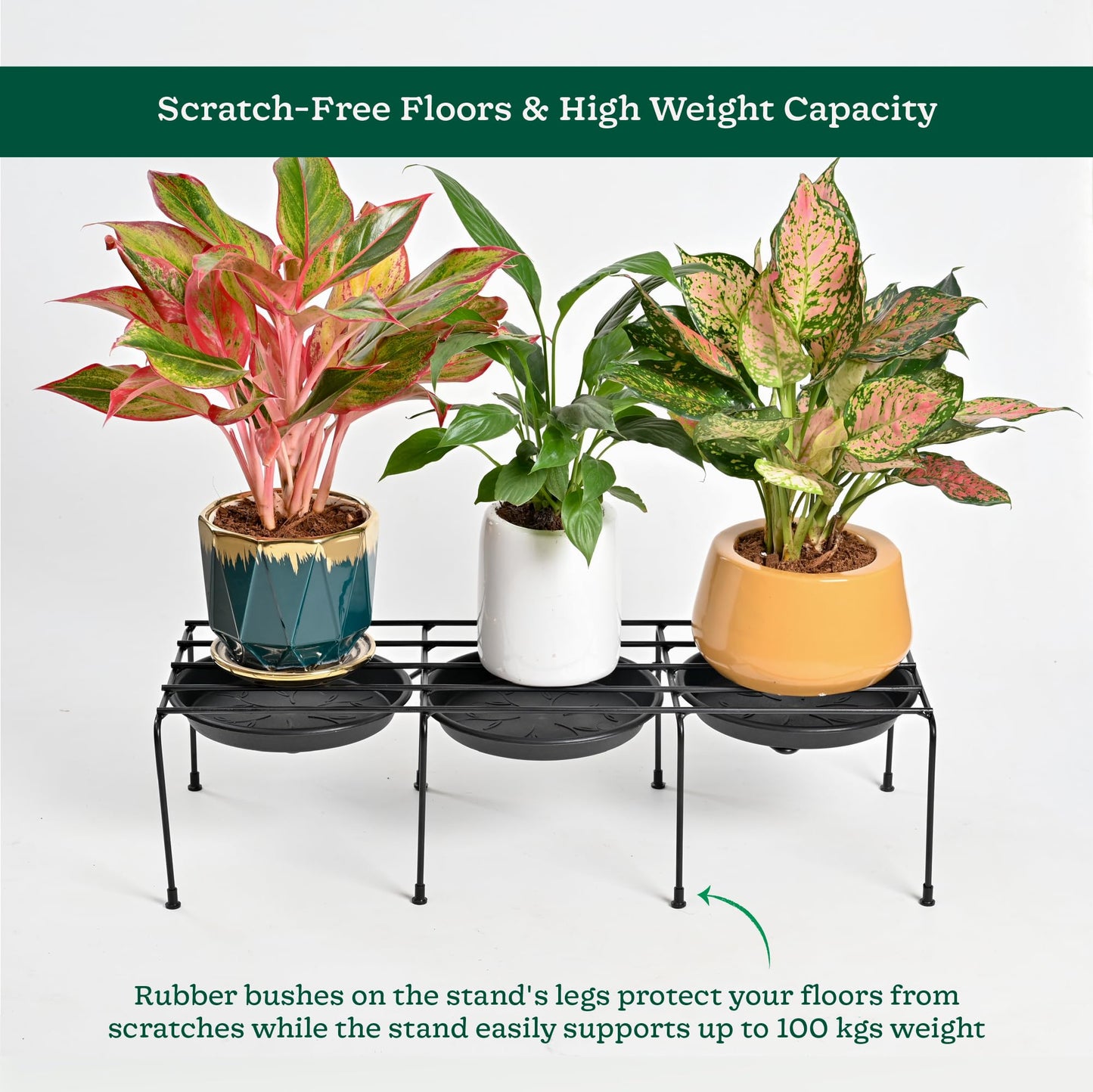Driplock Heavy Duty Iron Plant Stand (Black, Set of 4)