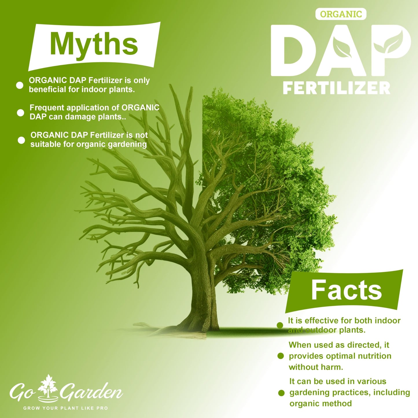 All Purpose Bio DAP Fertilizer for Home Plants & Gardening Purpose
