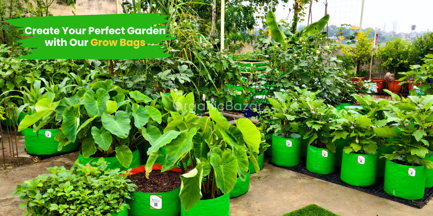12x12 Grow Bags for Terrace Garden, HDPE 260 GSM(Pack of 10)