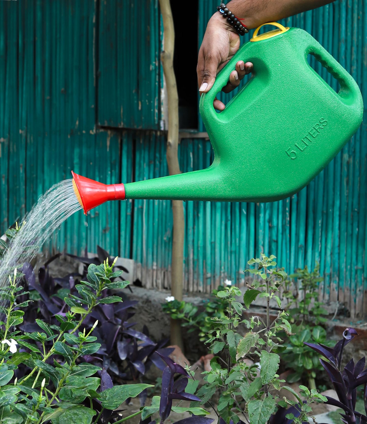 Watering Can with Sprayer for Plants/Garden (5L)
