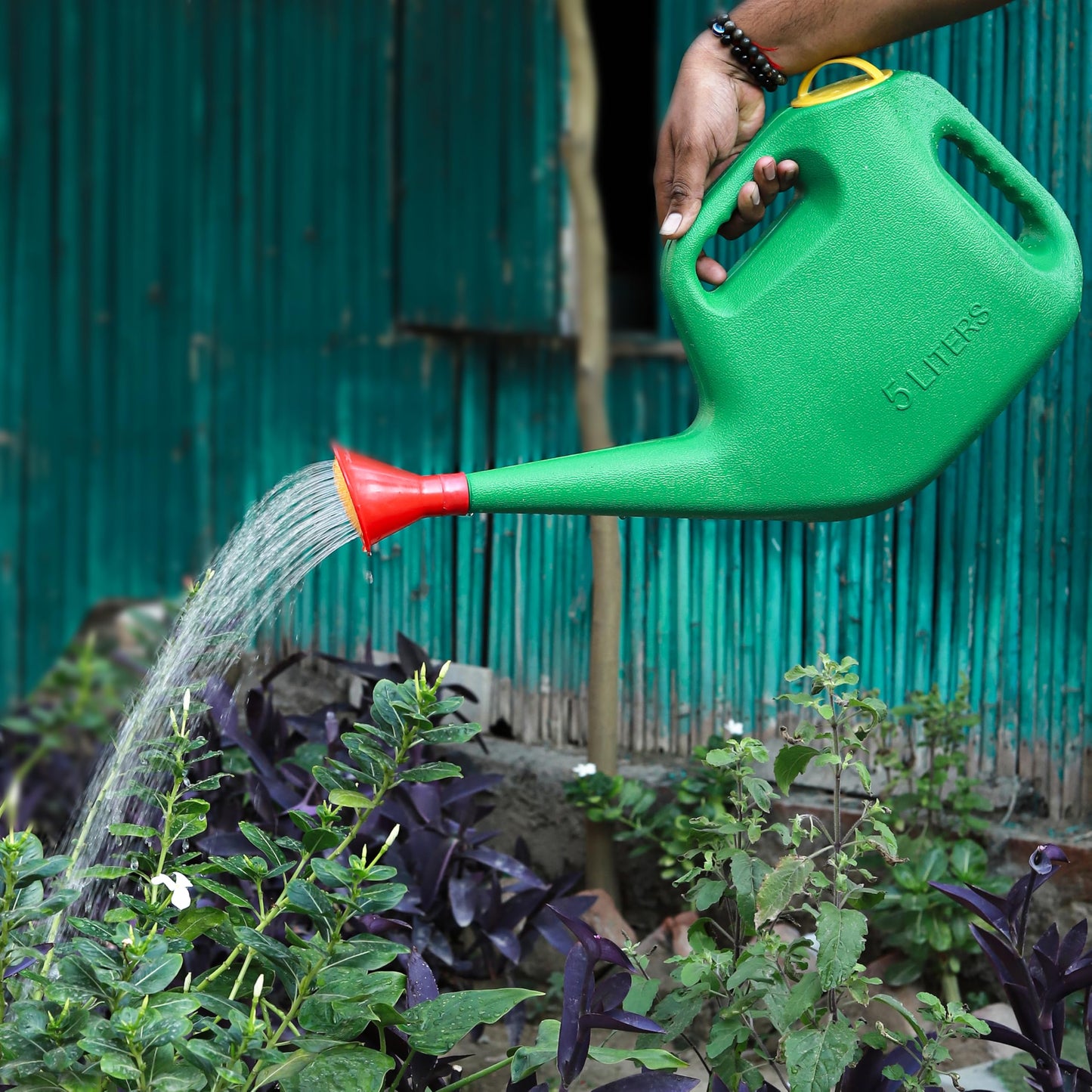 Watering Can with Sprayer for Plants/Garden (5L)