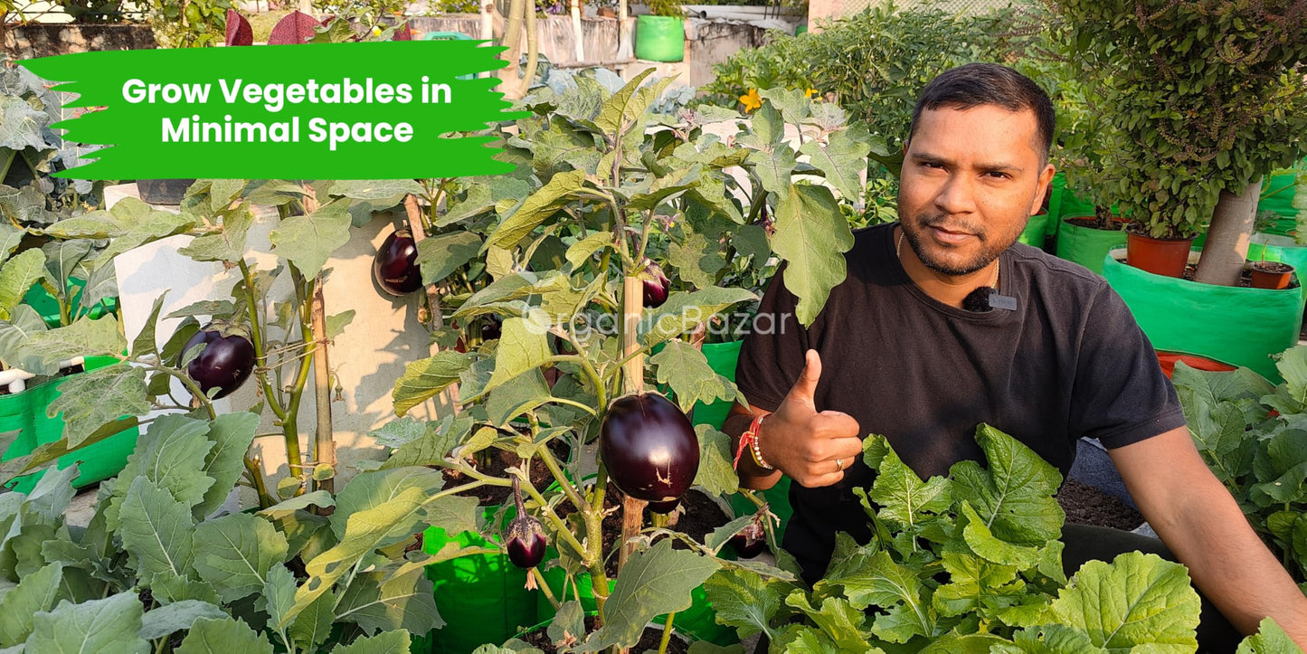 12x12 Grow Bags for Terrace Garden, HDPE 260 GSM(Pack of 10)