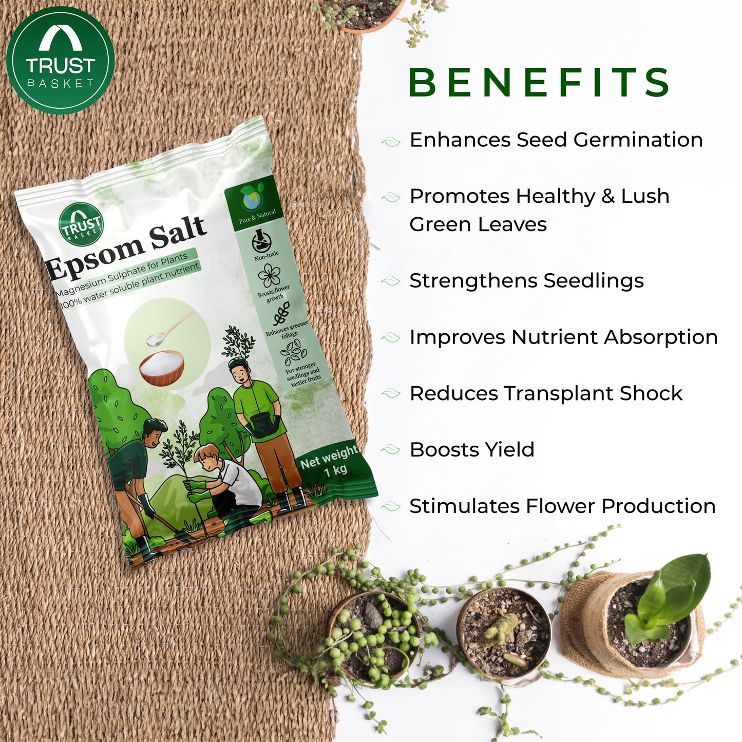 Epsom Salt for plants (1 KG)