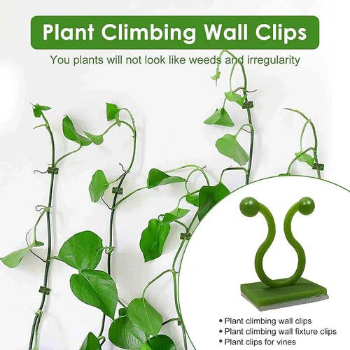 Plant Climbing Wall Clips Self-Adhesive - 25 Pcs